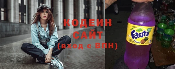 ГАЛЛЮЦИНОГЕННЫЕ ГРИБЫ Инсар