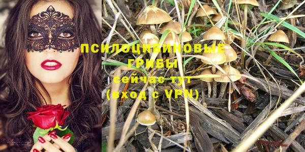 прущая мука Инта